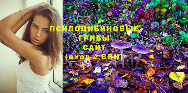 молекула духа Рославль