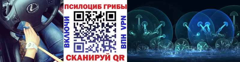 Псилоцибиновые грибы Cubensis  Купить где  Лысьва 